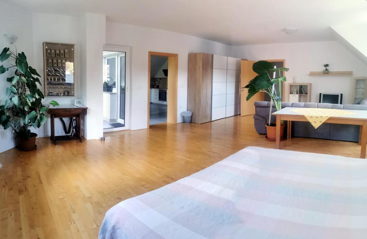 Appartement Family House In The Vicinity Of Ljubljana à Logatec Extérieur photo